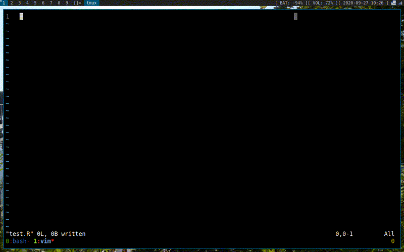 Demo of executing chunks of R code.